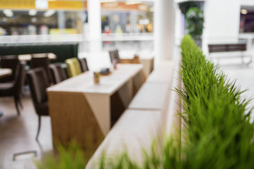Fresh green grass in the interior of the cafe in the defocus