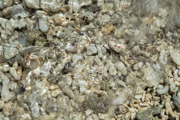 Broken corals under the flowing waves on the beautiful and pristine beach 