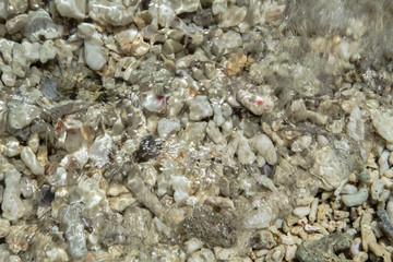 Broken corals under the flowing waves on the beautiful and pristine beach 