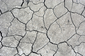 cracked from lack of moisture. Global warming