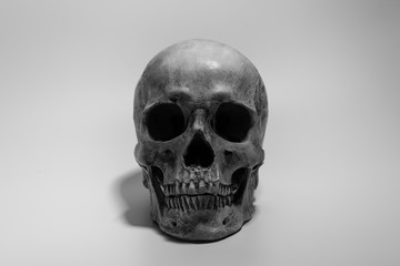 Human skull on white background