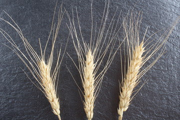 spikelets on a stone background