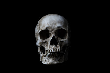 Human skull on black background - Powered by Adobe
