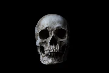 Human skull on black background © ddukang
