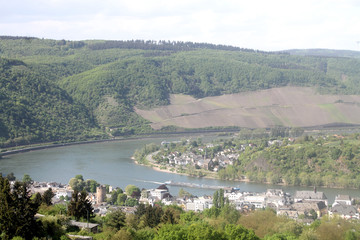 Fototapeta na wymiar View of Boppard- Rhine Valley - Germany