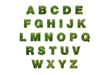 Green grass poster