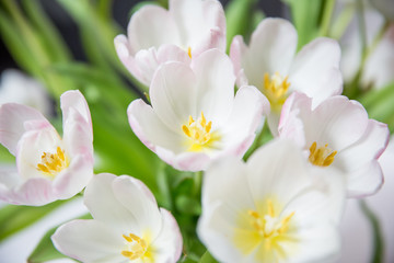 White and Pink Tulip Bouquet with Yellow Heart