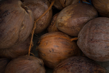 Close-up stacked old coconuts waiting for the buyer
