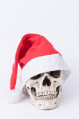 Skull with red Christmas hat on white background