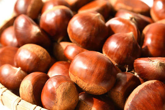 Chestnuts, Autumn harvest