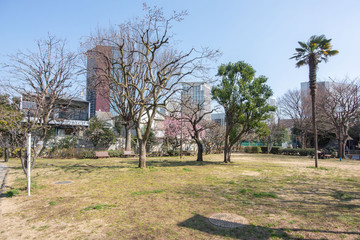 三田台公園