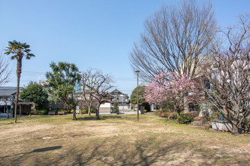 Fototapeta na wymiar 三田台公園