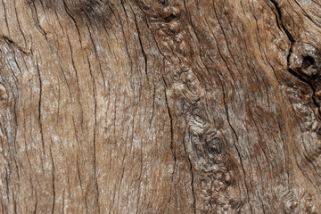 Texture of old wooden natural background