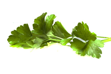 parsley isolated on white background