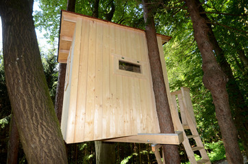 Baumhaus