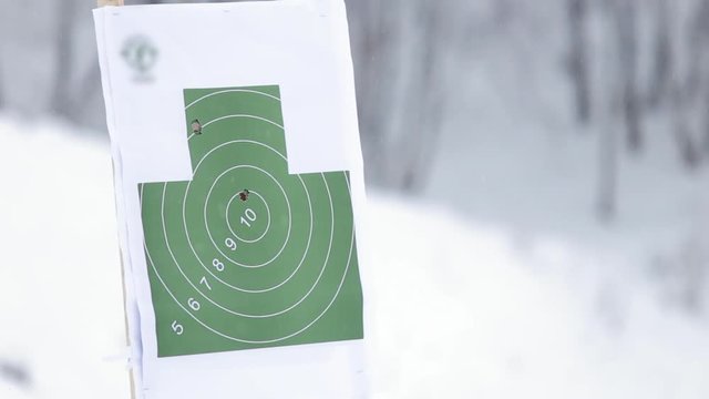 Gun shoot to the shooting target concept