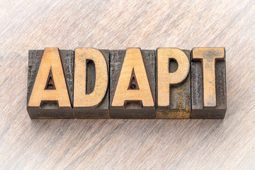 adapt - word asbtract in wood type