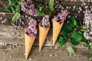 Cup of tea,  flowers, on dark wooden background