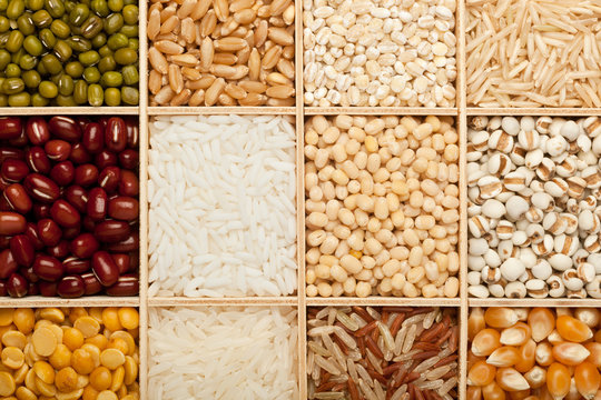 Different types of grains and beans