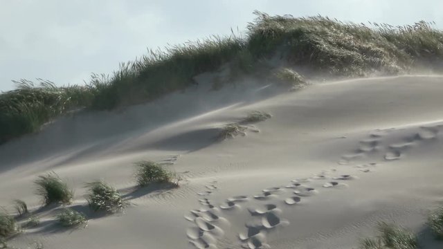  Sandsturm an der Nordseek&uuml;ste, Fu&szlig;spuren, Spuren,Sandverwehungen, sandd&uuml;nen, Wanderd&uuml;nen