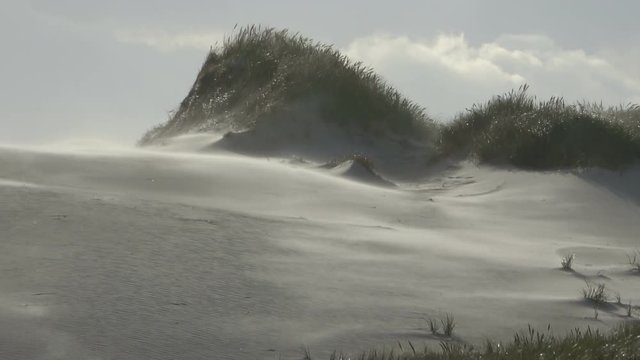  Sandsturm an der Nordseek&uuml;ste, Sandverwehungen, sandd&uuml;nen, Wanderd&uuml;nen