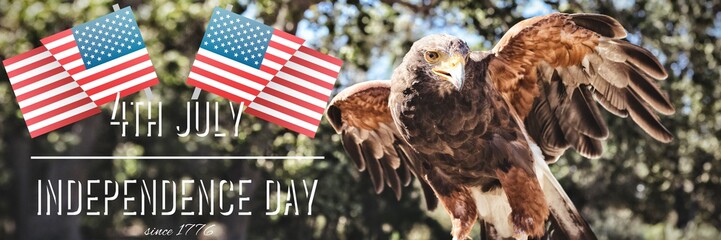 Composite image of independence day graphic