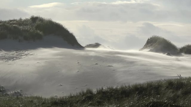  Sandsturm an der Nordseek&uuml;ste, Sandverwehungen, sandd&uuml;nen, Wanderd&uuml;nen