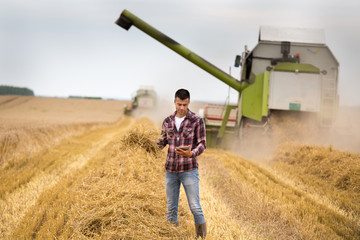 Farmer with tablet in field during harvest