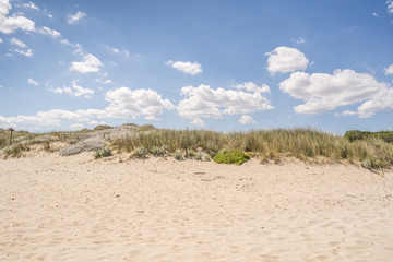 Wild beach in Puglia, Italy