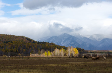 autumn mountains