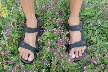 Photo of man feet in sport sandals on green grass and blooming flowers background - 212239451