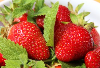 Erdbeeren mit Melissenblatt