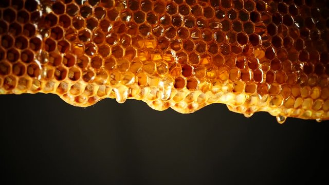 Honey flows down the honeycomb. Fresh honey drips on the background.