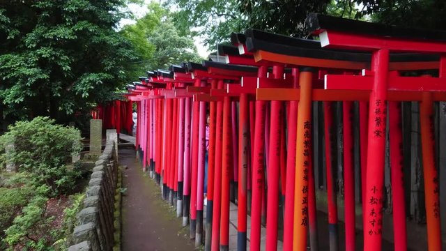 The famous red gate path of Nezu Jinja Shrine in Tokyo - TOKYO / JAPAN - JUNE 17, 2018