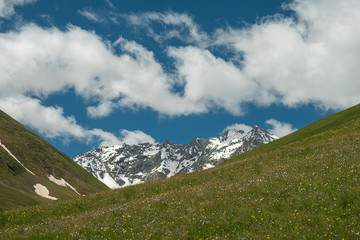 mountain meadow overgrown with green grass and flowers with the remains of snow on the slopes of mountain peaks landscape illustration background