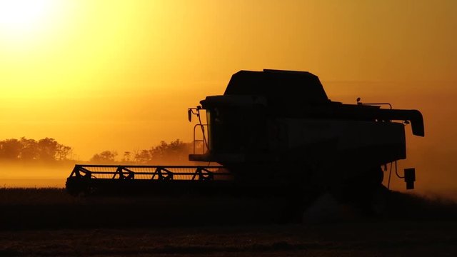 Combine harvester harvests wheat at sunset. Slow motion