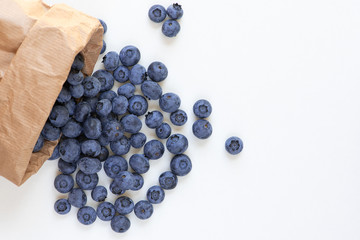 Blaubeerzeit / Blaubeerernte