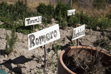 Letreros en el campo