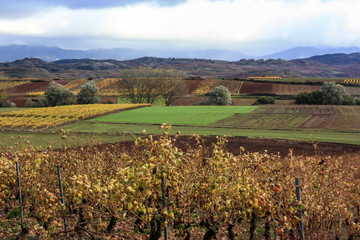 Paisaje riojano