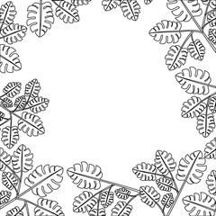 branch with leafs ecology frame vector illustration design