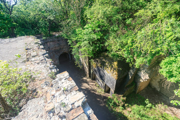 ancient destroyed wall overgrown with plants