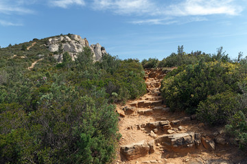 Obraz premium Sentier du Parc National des calanques dans le Var