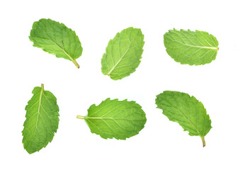 set of fresh mint leaf isolated on white background