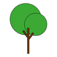 tree plant nature icon vector illustration design