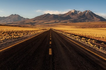 Fototapeta na wymiar An empty highway road in the Atacama desert near San Pedro de Atacama during sunset when the desert vegetation transforms to a field of gold. At the back is snow capped Miniques volcano.