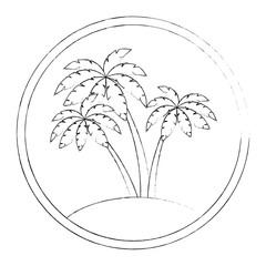 tree palms isolated icon vector illustration design