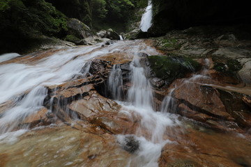 十津川村　笹の滝