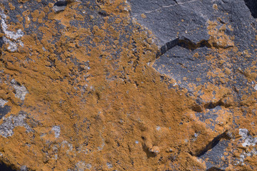 Black large stone, on which appeared a white coating