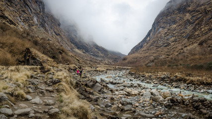 Travel concept , Trekking trail along with grasses field and rocky with Annapurna snow peaks and blue sky in Nepal