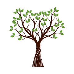 Obraz premium Color shape of Tree. Vector Illustration.